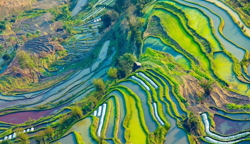 宝妈必备神器：赤壁市产品视频拍摄轻松育儿好帮手