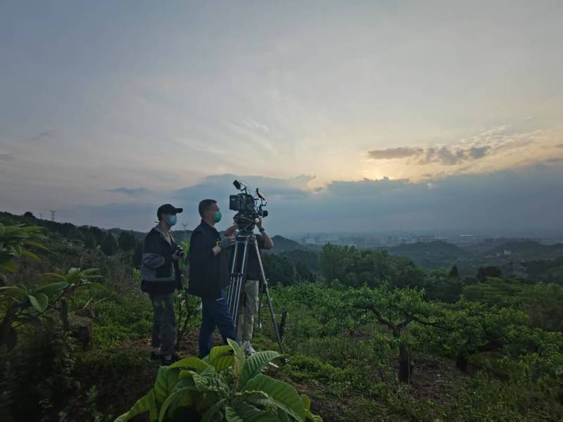 创意破圈！赤壁市电商产品宣传视频用故事化叙事引爆流量