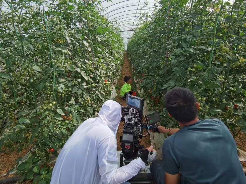 赤壁市产品宣传视频拍摄公司进阶指南，助力品牌抢占传播高地